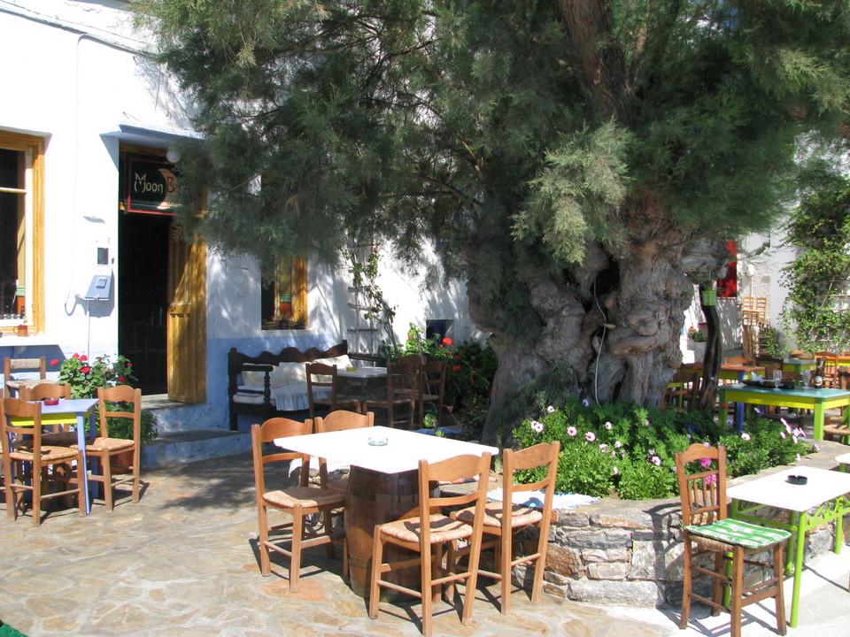 THE MOON BAR