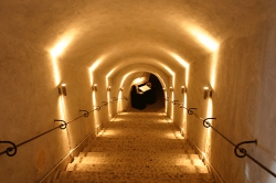 VOLCAN WINES