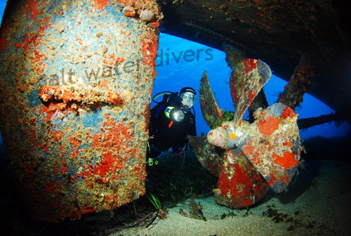 SALT WATER DIVERS
