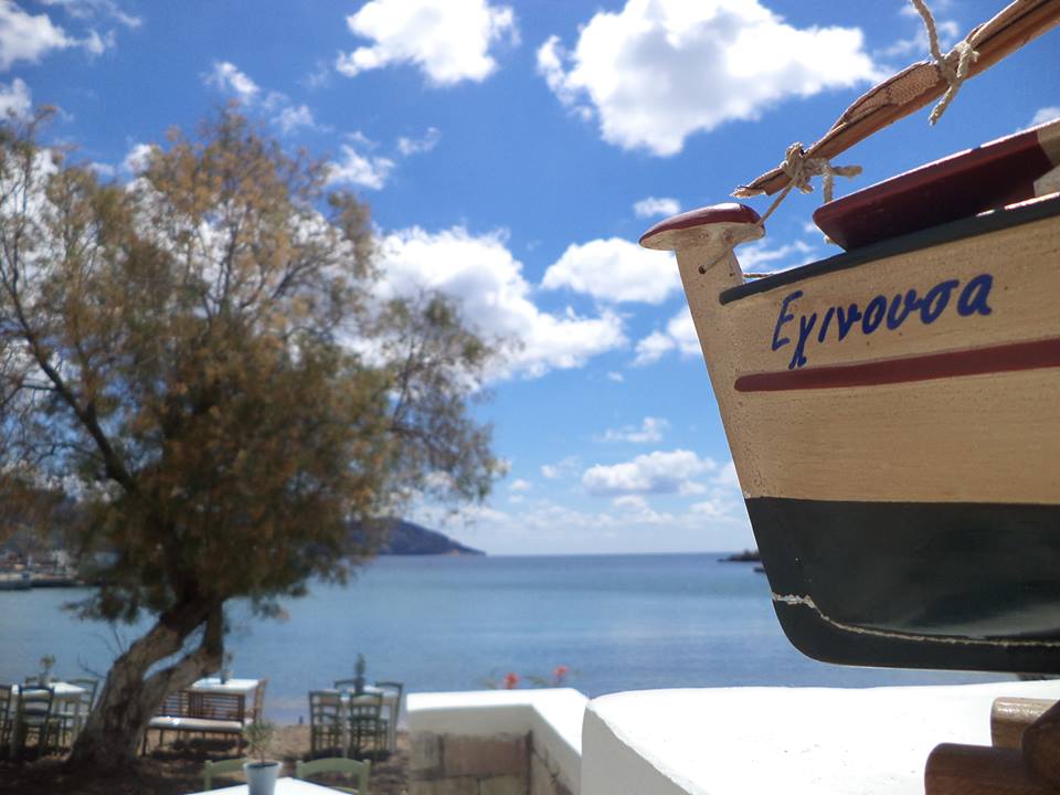 ΚΑΦΕΝΕΟΝ ECHINOUSA