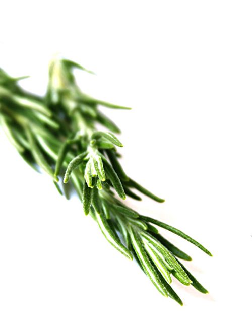 CYCLADES ORGANICS