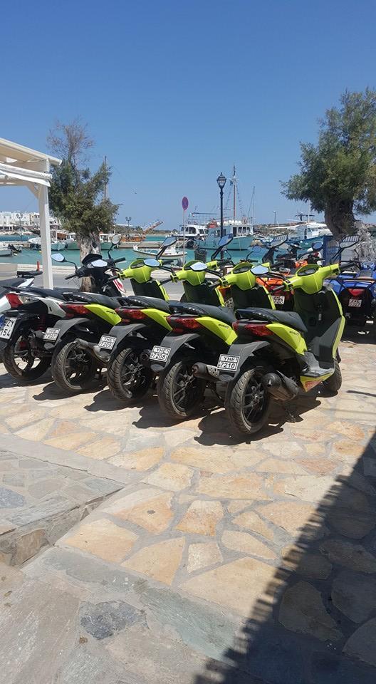 AGGELOS RENTALS