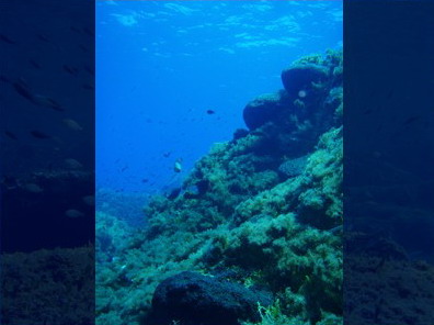CYCLADIC DIVING