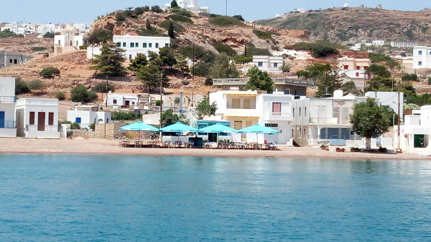 ΤΟ ΚΥΜΑ ΤΗΣ ΨΑΘΗΣ